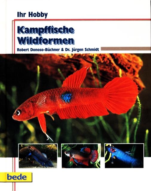 B&S - Kampffische Wildformen 01.jpg